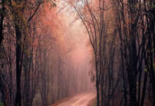 给队友下药?利物浦中场谈巴阿战:得对阿利森做点手脚.