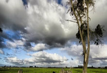 韩媒:日本队率先锁定世界杯正赛,韩国队小组头名则是岌岌可危.