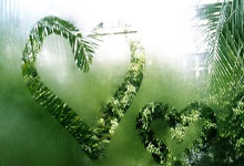 16岁又197天 爱尔兰小将努南创欧洲球会最年轻进球者纪录.